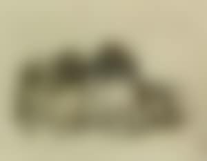 Two Pekinese dogs (preview)