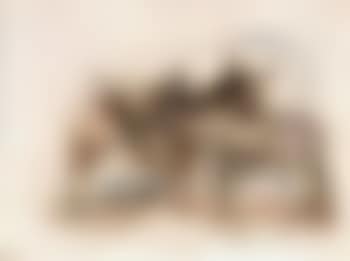Two donkeys (preview)