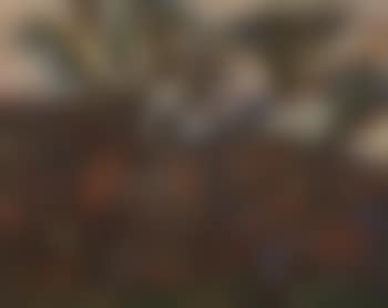 Untitled, landscape with trees (preview)
