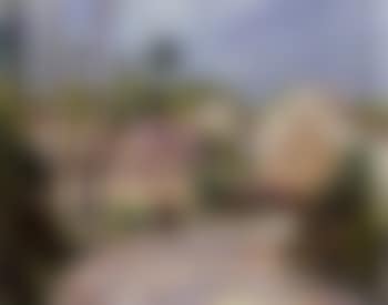 Entree de village (preview)