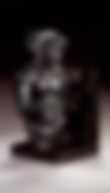 Torse masculin de la porte (preview)