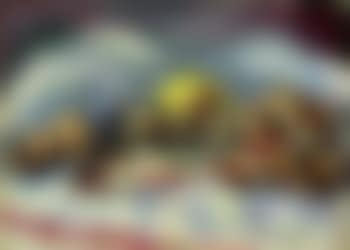 Nature morte au poisson (preview)