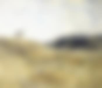Sheep on a hill, landscape, rosebud (preview)
