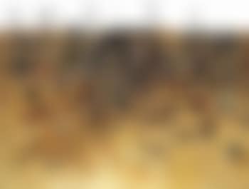 Upwey landscape (preview)