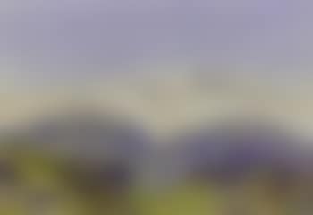 Entrance to palm valley (preview)