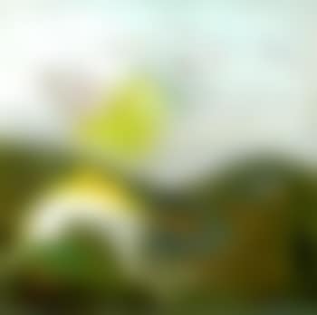 Nebuchadnezzar (preview)