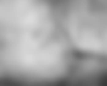 Le Minnewater (preview)