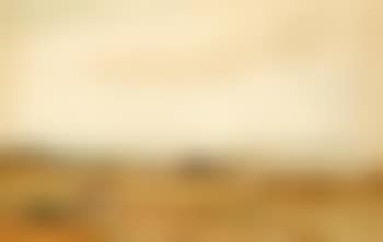 Haymaking near Studland (preview)