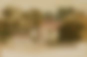 Cottages amongst trees (preview)