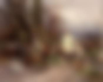A dispute on the way (preview)