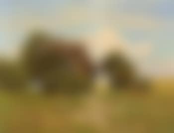 Blue cottage in Fischland (preview)
