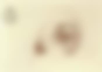 Etude d'yeux (preview)