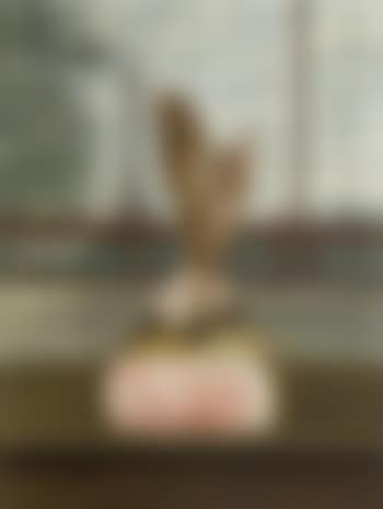 Jambon de Paris (preview)