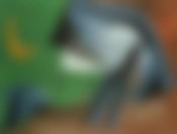 Composition (preview)