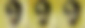 Personnage (preview)