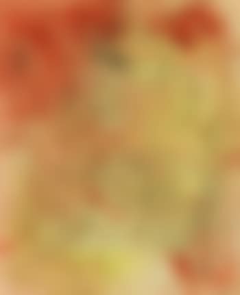 Composition personnage, betes, etoile (preview)