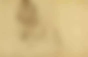 Femme assise inclinee (preview)