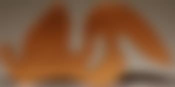 Siamois (preview)