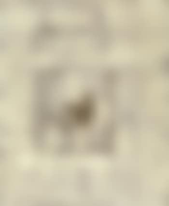 Untitled composition (preview)
