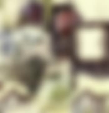 Stop-pied (preview)