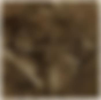 Disappearance II (preview)
