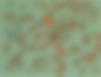 Orange on green (preview)