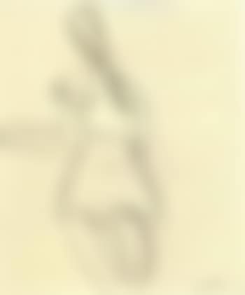 Study for boogie-woogie (preview)