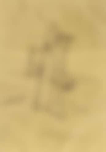 Composition (preview)