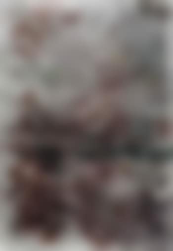 Untitled (preview)