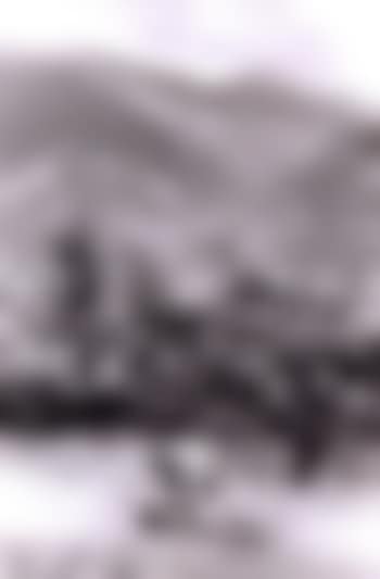 Suisse (preview)