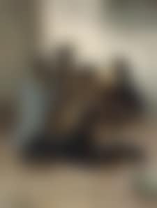 Dog with puppies (preview)