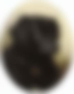 Black dog (preview)