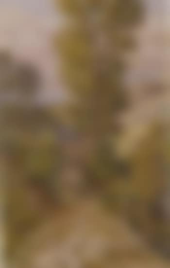 Mountainous landscape (preview)