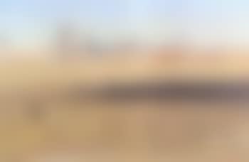 Wimmera landscape with homestead (preview)