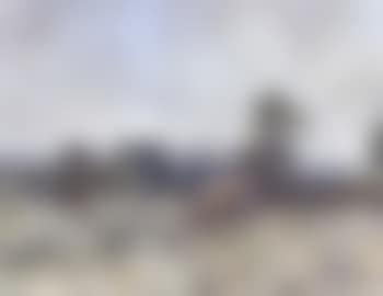 Cattle grazing (preview)