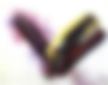 Phenomena flight (preview)