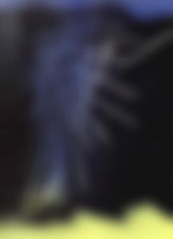 T1963-R12 (preview)