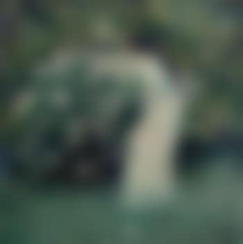 Lili Butler in Claude Monet's garden (preview)