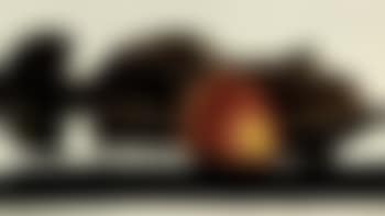 Mask with golden apple (preview)