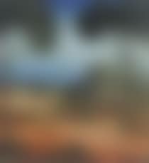 Shoalhaven (preview)