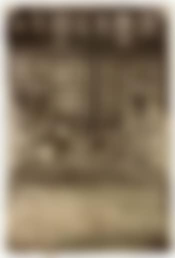 Embroidered curtain (preview)