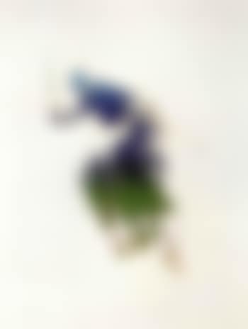 Polo player (preview)