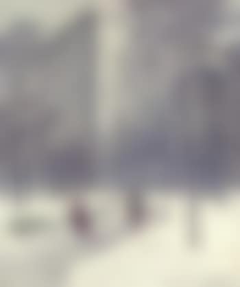 Madison Square, winter (preview)
