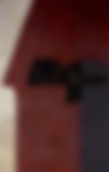 Profile (preview)
