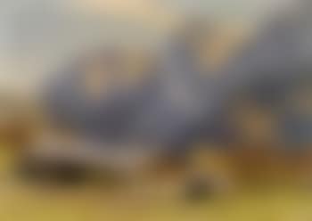 Kaiserhof mit Wildem Kaiser (preview)