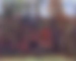 A house seen through trees (preview)