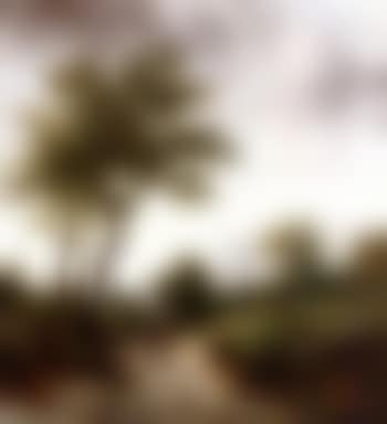 On the way to the village (preview)