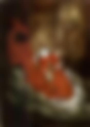 Het kind - The child on a carp's back (preview)