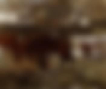 Horses feeding in the snow (preview)