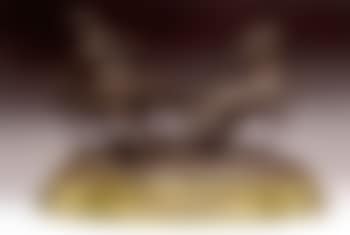 Equestrian group (preview)
